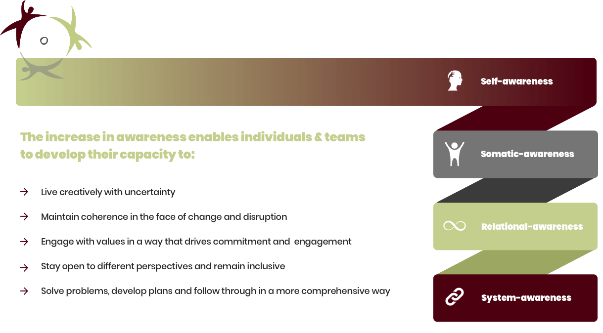 How we build capacity through our Integral Approach