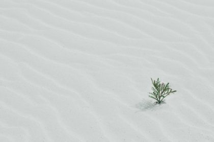 Coaching Practice: The “Virtuous Cycle” of Anxiety: Listen, Leverage, and Let Go