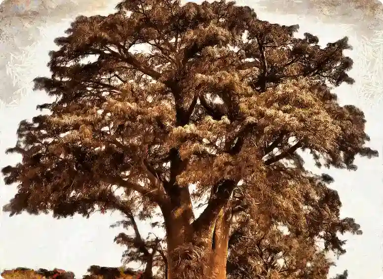 Our Roots & History